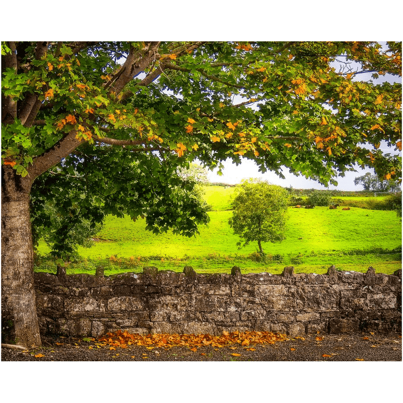 Print - Changing Season in the Irish Countryside, County Clare - Moods of Ireland