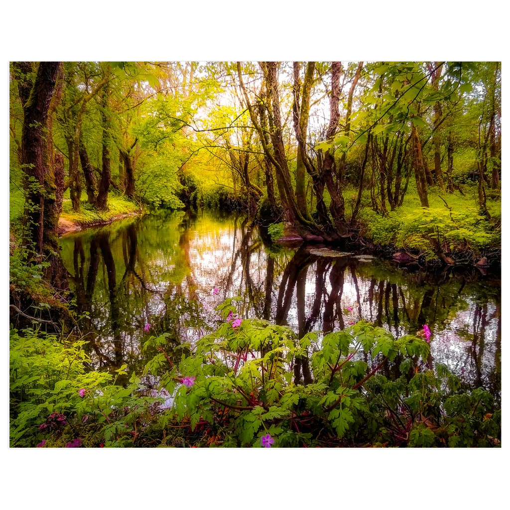 Print - Streamstown River Reflections, County Galway