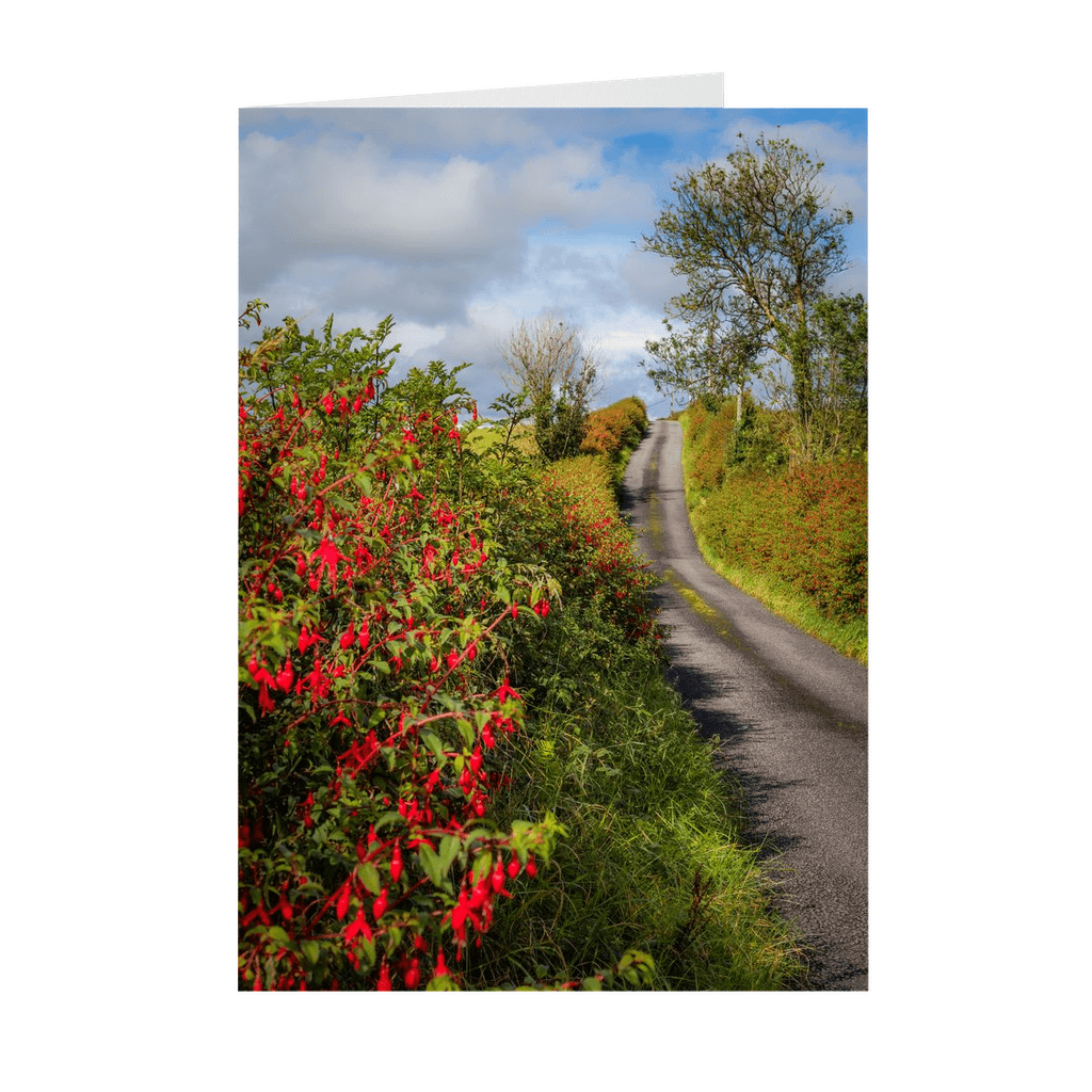 Folded Note Cards - Fuchsias Blooming in the Irish Countryside - James A. Truett - Moods of Ireland - Irish Art