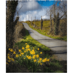 Shower Curtain - Spring Daffodils under Blue Sky, County Clare - James A. Truett - Moods of Ireland - Irish Art