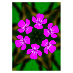 Folded Note Cards - Abstract Herb Robert Bouquet - Moods of Ireland