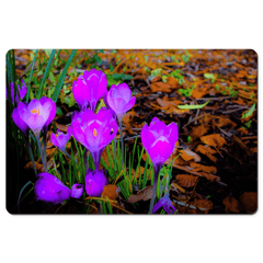 Desk Mat - Rebirth of Irish Spring Wildflowers - James A. Truett - Moods of Ireland - Irish Art