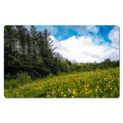 Desk Mat - Field of Buttercups in Spring, County Clare - James A. Truett - Moods of Ireland - Irish Art