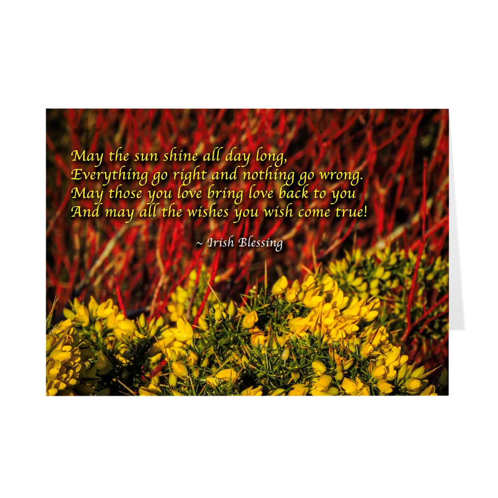 Folded Note Cards - Irish Blessings - Gorse & Dogwood - James A. Truett - Moods of Ireland - Irish Art