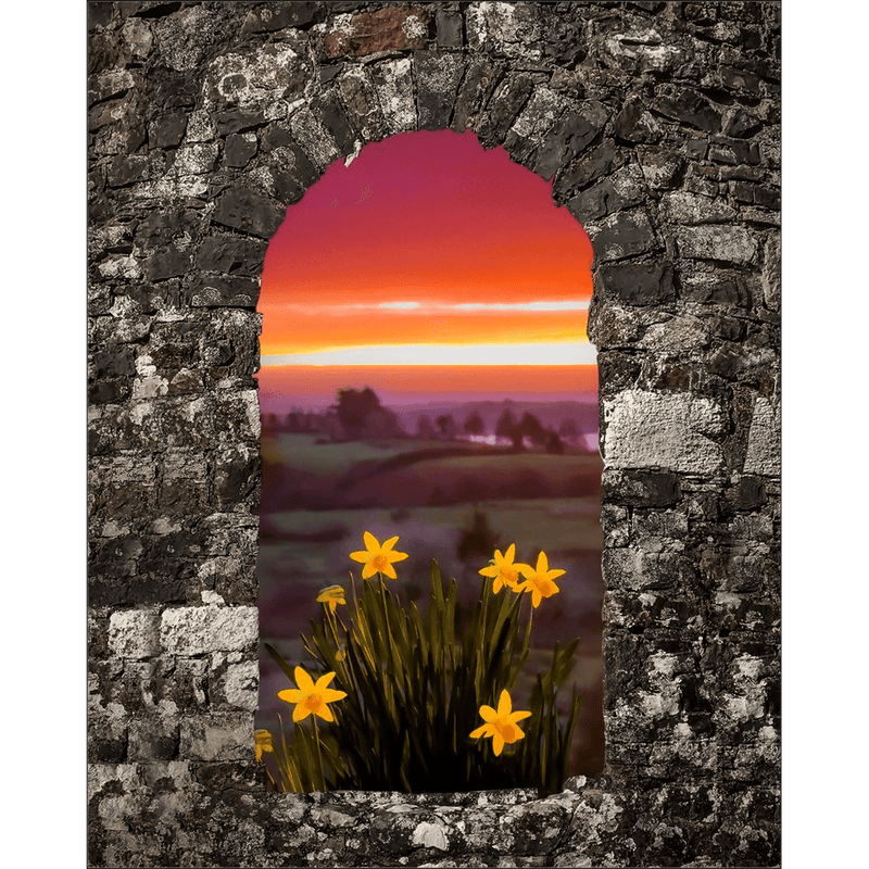 Print - Spring Daffodils and County Clare Sunrise - James A. Truett - Moods of Ireland - Irish Art