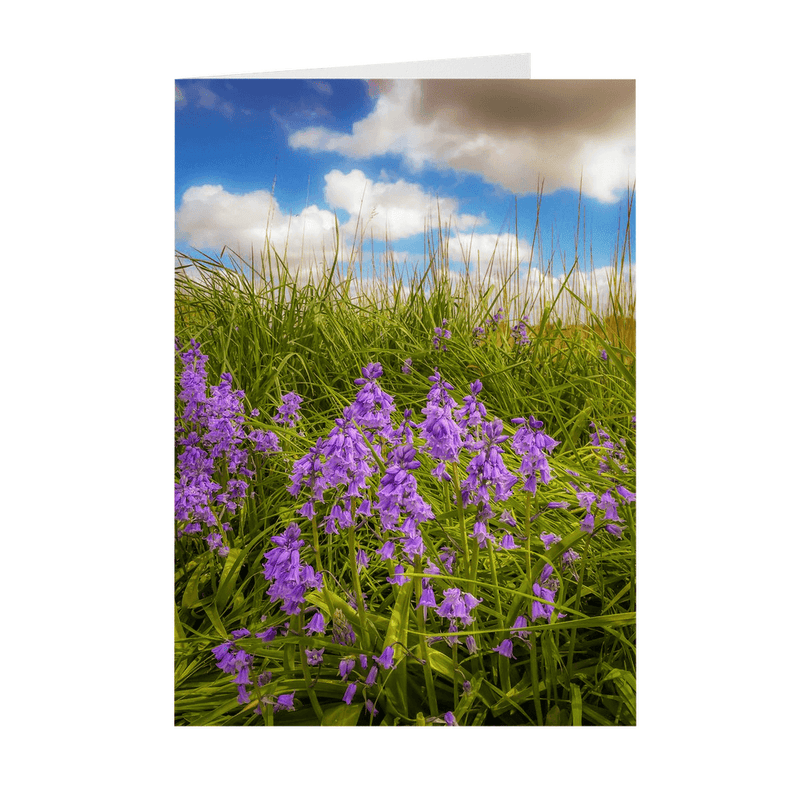 Folded Note Cards - Ballycorick Bluebells - James A. Truett - Moods of Ireland - Irish Art