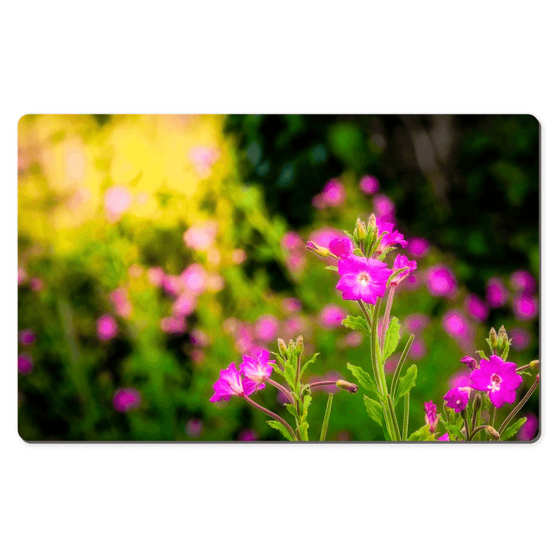 Desk Mat - Portrait of Great Willowherb Wildflowers, County Clare - Moods of Ireland