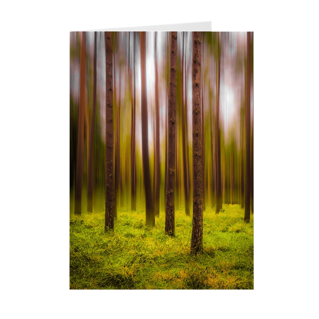 Folded Note Cards - Ethereal Mood in Portumna Forest Park, County Galway - James A. Truett - Moods of Ireland - Irish Art