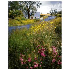 Print - Summer Wildflowers near Kildysart, County Clare - James A. Truett - Moods of Ireland - Irish Art