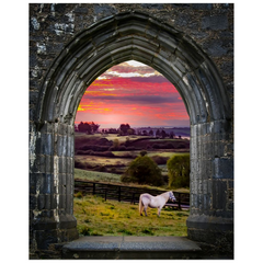 Print – Horse at Sunrise in County Clare