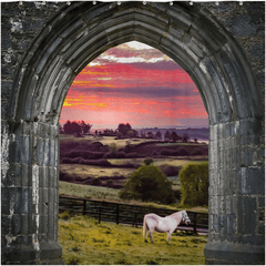 Shower Curtain - Horse at Sunrise in County Clare - Moods of Ireland