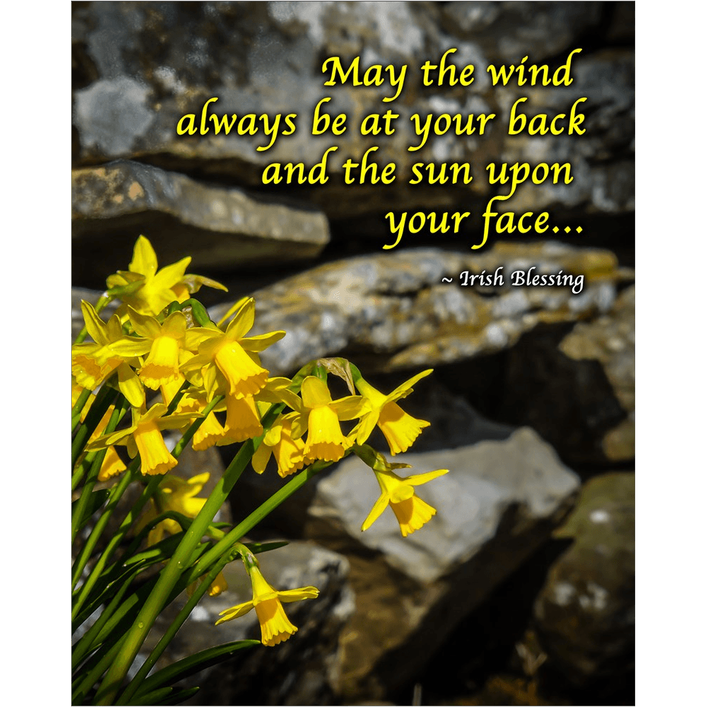 Print - Irish Blessing with Daffodils and Stone Wall - James A. Truett - Moods of Ireland - Irish Art