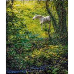 Shower Curtain - White Horse in 40 Shades of Green, County Clare - James A. Truett - Moods of Ireland - Irish Art