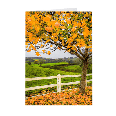 Folded Note Cards - Autumn Leaves in Ballynacally, County Clare - James A. Truett - Moods of Ireland - Irish Art