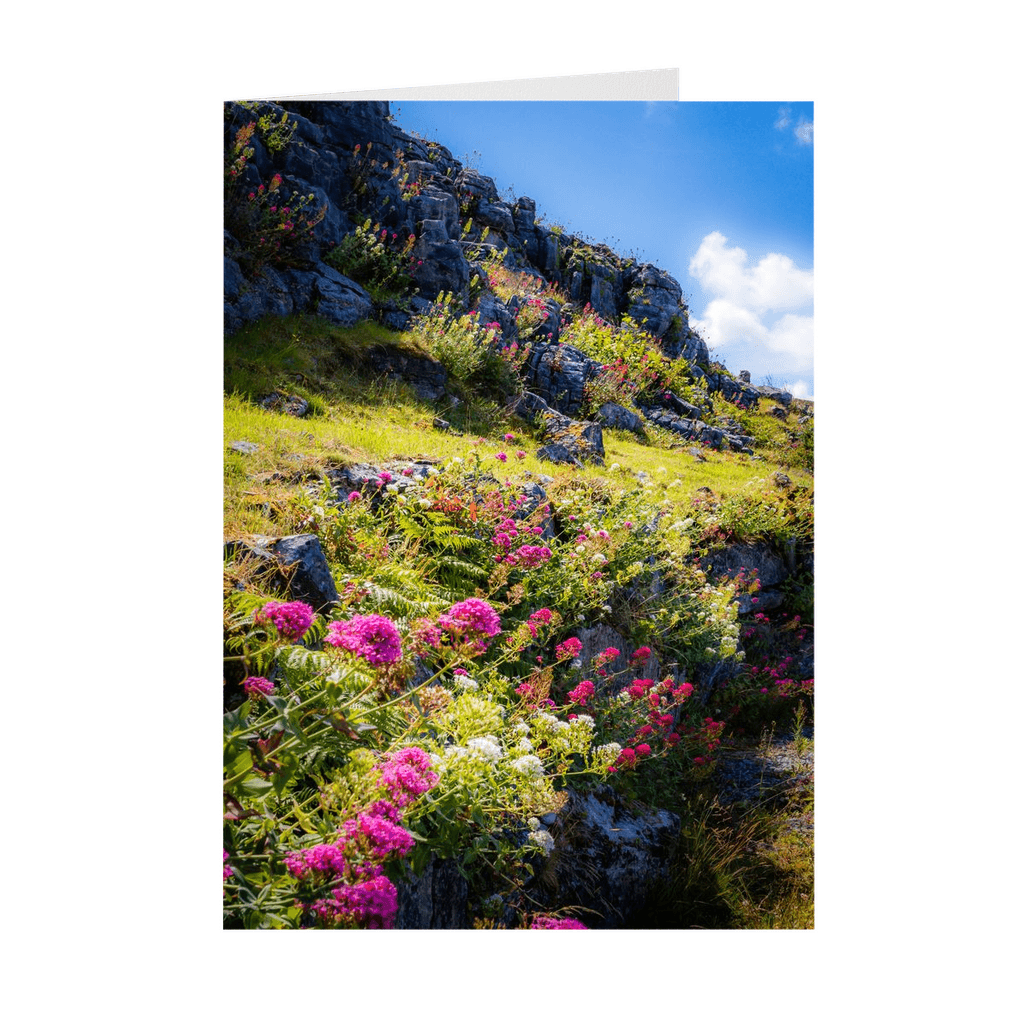 Folded Note Cards - Burren Wildflowers and Limestone, County Clare - James A. Truett - Moods of Ireland - Irish Art