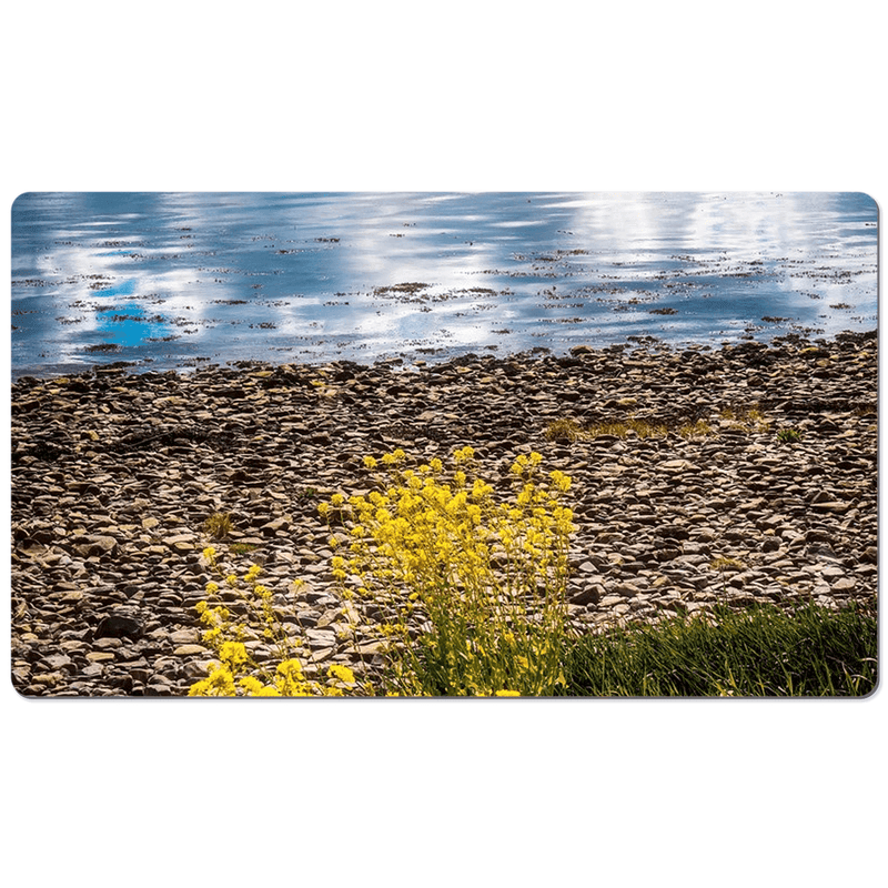 Desk Mat - Yellow Flowers on Shannon Estuary Shores, County Clare - James A. Truett - Moods of Ireland - Irish Art