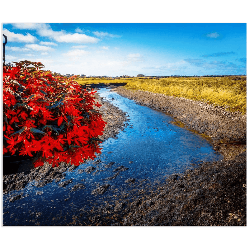 Print - Moyarta River, Carrigaholt, County Clare - Moods of Ireland