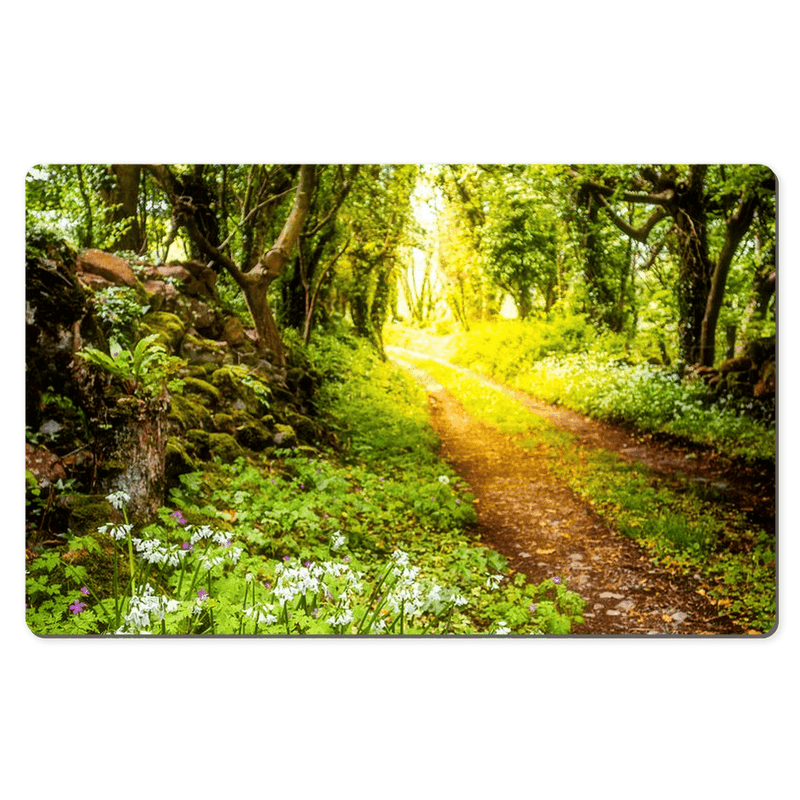 Desk Mat - County Clare Path Lined with Wild Garlic and Wildflowers - James A. Truett - Moods of Ireland - Irish Art