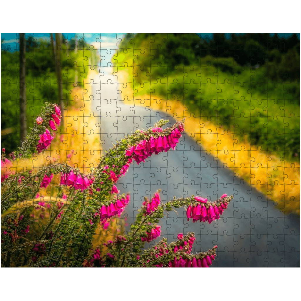 Puzzle - Fairy Thimbles on the Road to Lissycasey, County Clare - James A. Truett - Moods of Ireland - Irish Art