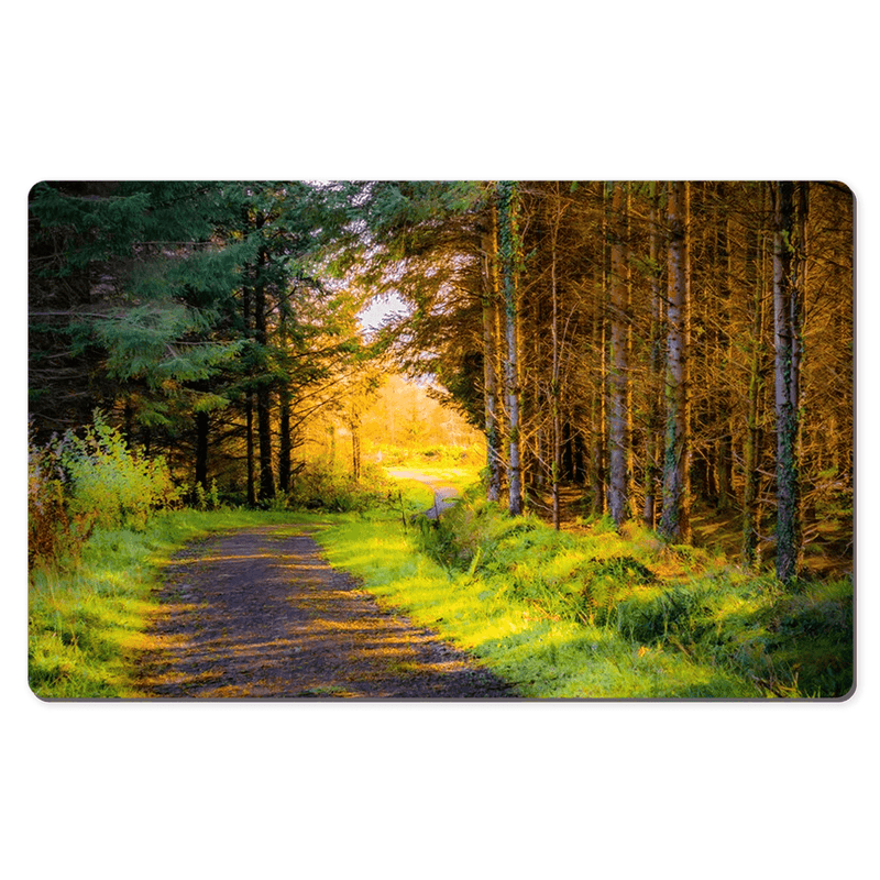 Desk Mat - Sunlit path in County Clare - James A. Truett - Moods of Ireland - Irish Art