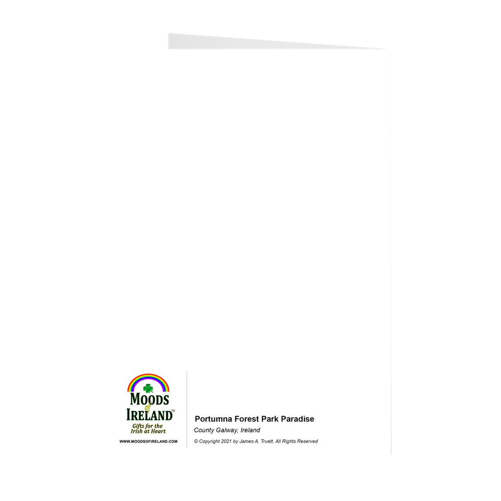 Folded Note Cards - Portumna Forest Park Paradise in County Galway - James A. Truett - Moods of Ireland - Irish Art