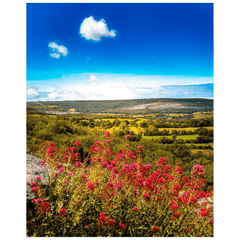 Print - Summer Burren Vista from Aillwee Cave, County Clare - James A. Truett - Moods of Ireland - Irish Art
