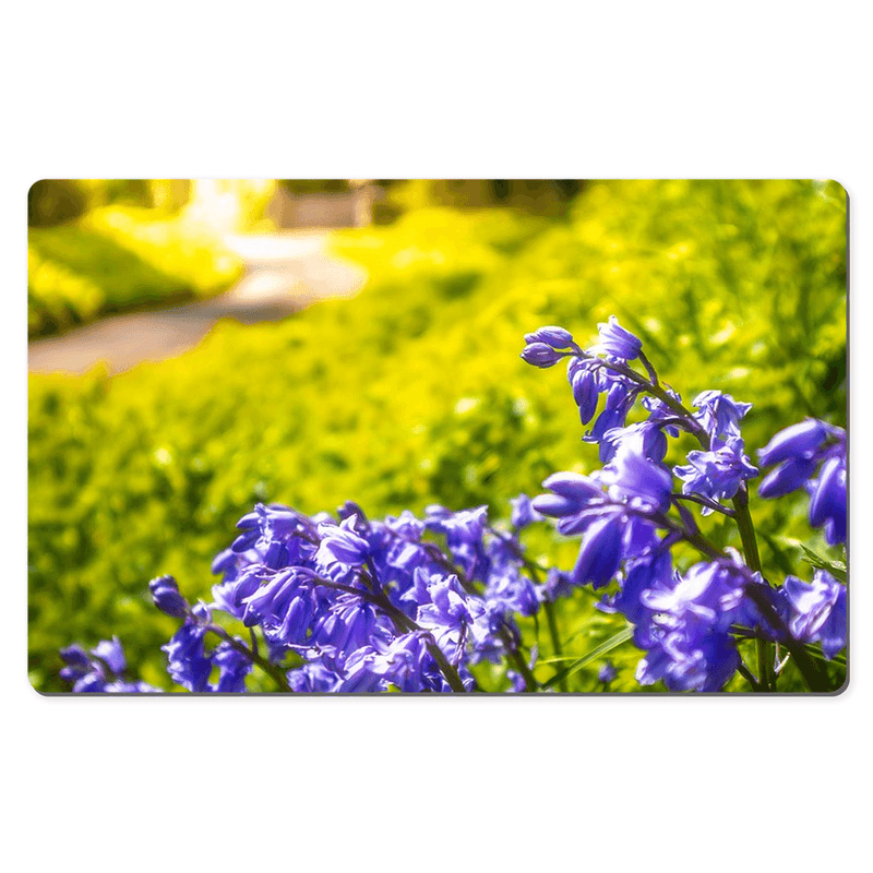 Desk Mat - Irish Bluebells in Spring Sun, County Clare - James A. Truett - Moods of Ireland - Irish Art