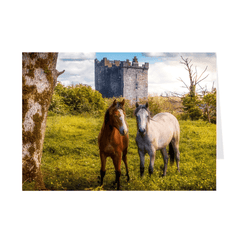 Folded Note Cards - Horses at Ballynagowan Castle, County Clare - James A. Truett - Moods of Ireland - Irish Art