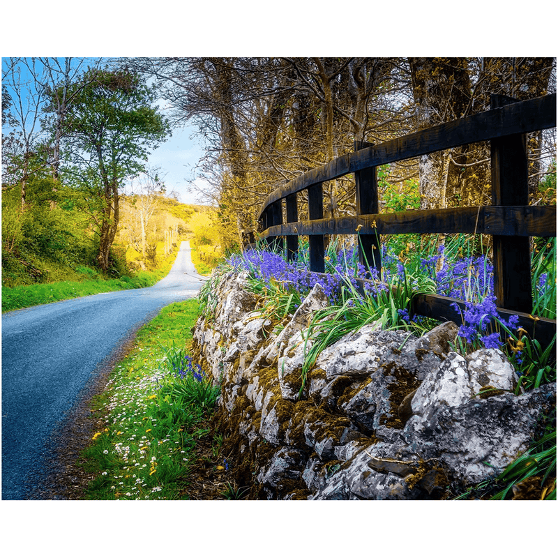 Print - Bluebell-lined County Clare Road - James A. Truett - Moods of Ireland - Irish Art