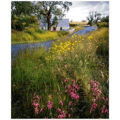 Print - Summer Wildflowers near Kildysart, County Clare - James A. Truett - Moods of Ireland - Irish Art