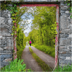 Shower Curtain - Portal to County Clare Country Road - James A. Truett - Moods of Ireland - Irish Art