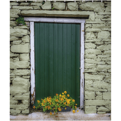 Shower Curtain - Pansies and Painted Old Stone Building, Cooraclare, County Clare - James A. Truett - Moods of Ireland - Irish Art