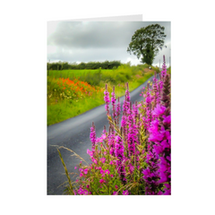 Folded Note Cards - Wildflower-lined Irish Country Road, County Clare - James A. Truett - Moods of Ireland - Irish Art