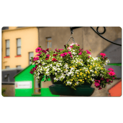 Desk Mat - Hanging Basket in Ennistymon, County Clare - James A. Truett - Moods of Ireland - Irish Art