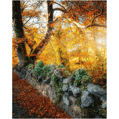 Print - Roadside Autumn Colours, County Clare - Moods of Ireland