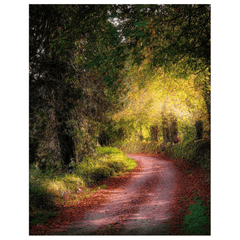 Print - Spots of light on Autumn Path, Clondegad, County Clare - Moods of Ireland