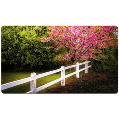 Desk Mat - Cherry Blossoms and White-washed Fence, County Clare - James A. Truett - Moods of Ireland - Irish Art