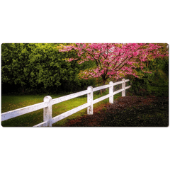 Desk Mat - Cherry Blossoms and White-washed Fence, County Clare - James A. Truett - Moods of Ireland - Irish Art