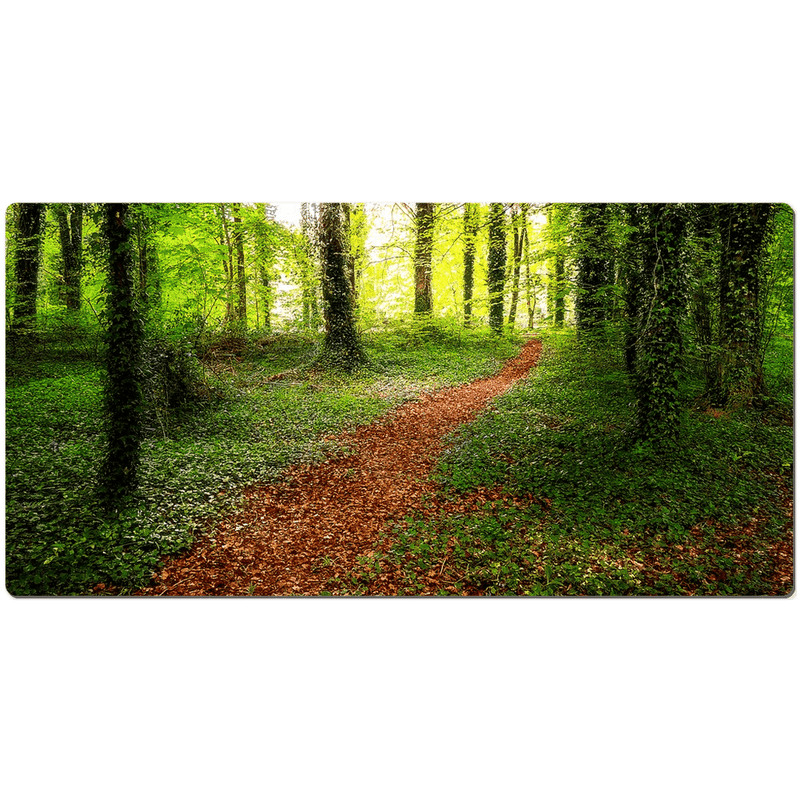 Desk Mat - Pathway to Spring, Coole Park, County Galway - James A. Truett - Moods of Ireland - Irish Art