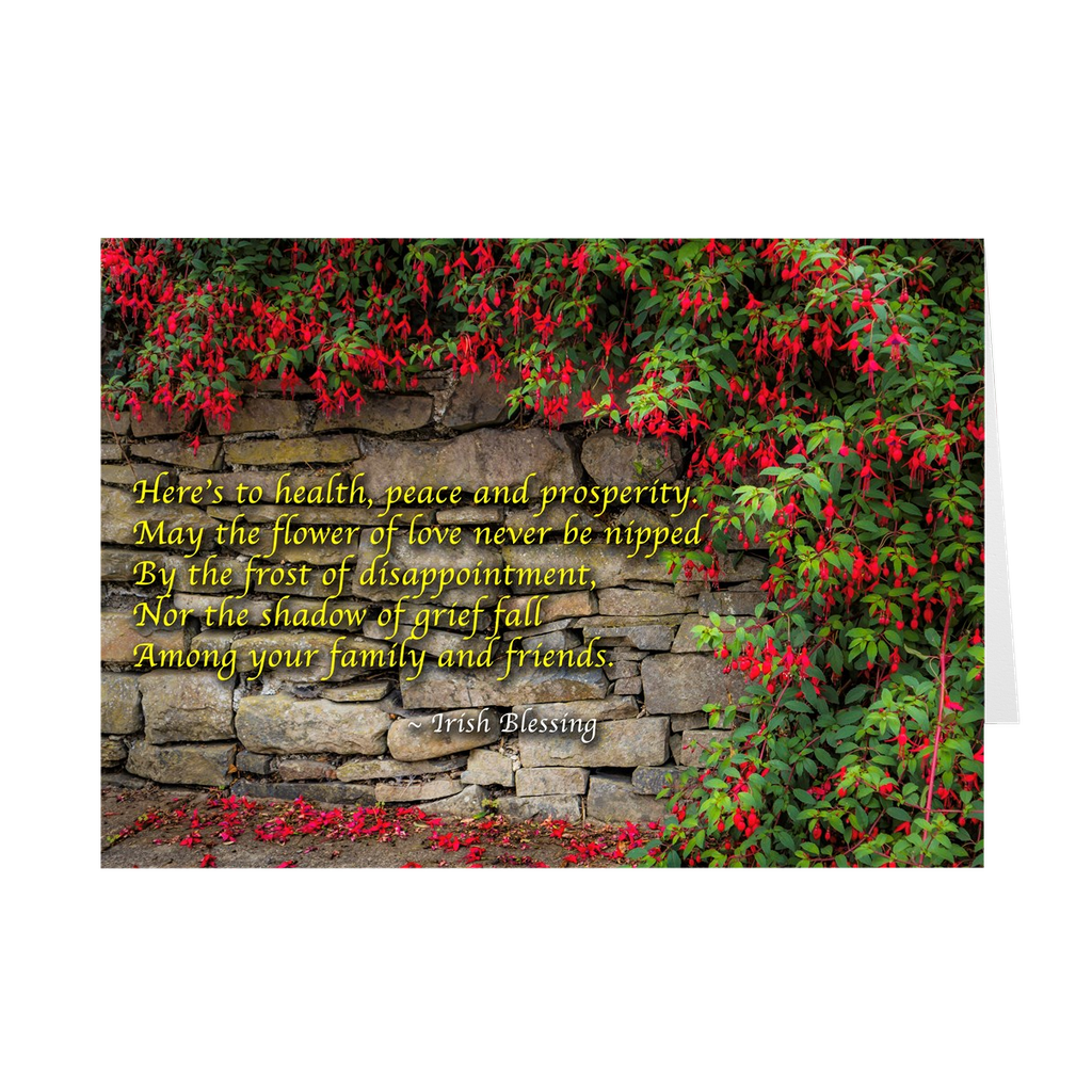 Folded Note Cards - Irish Blessings - Fuchsias and Stone Wall - James A. Truett - Moods of Ireland - Irish Art