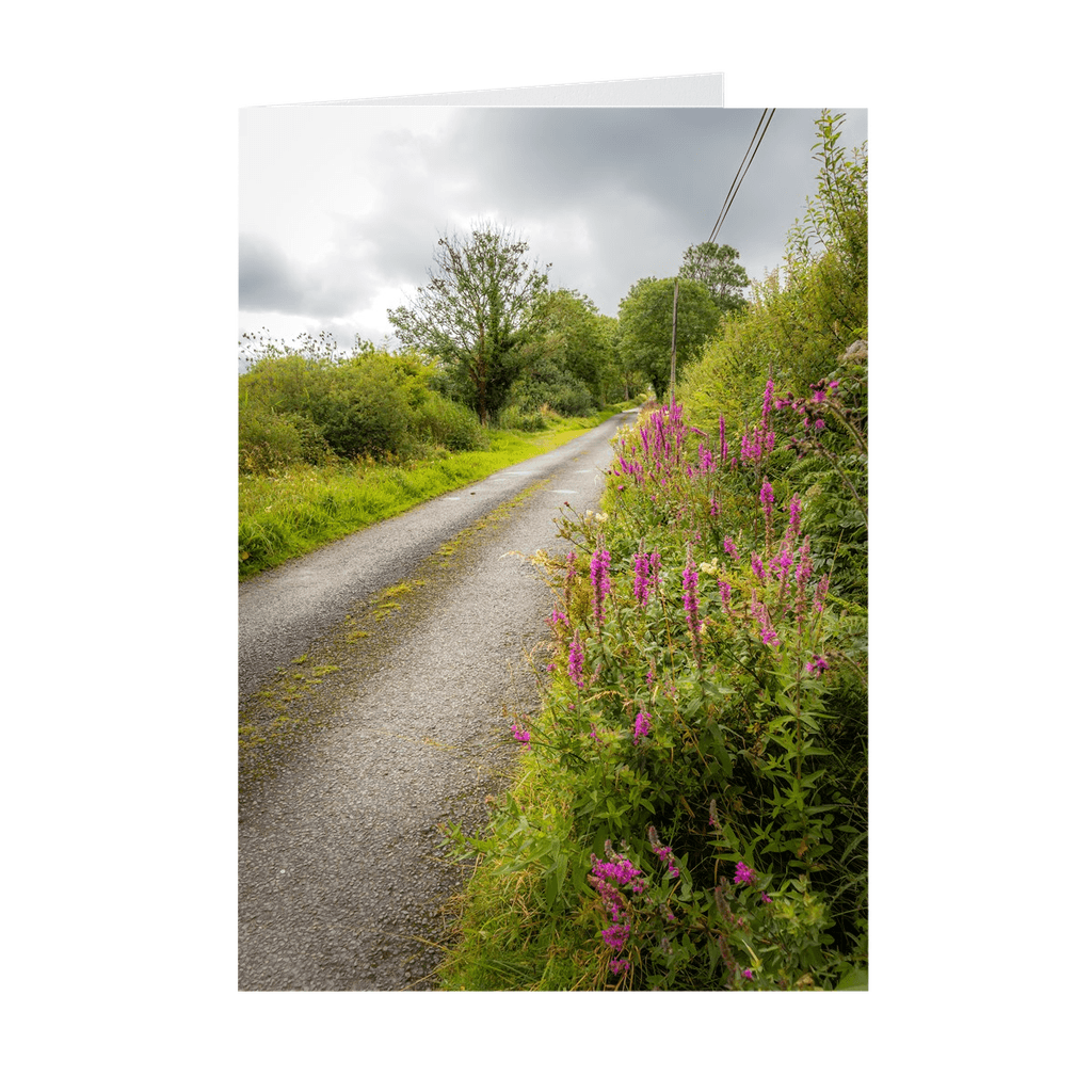 Folded Note Cards - County Clare Country Road at Gortglass Lough - James A. Truett - Moods of Ireland - Irish Art
