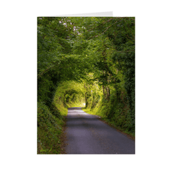 Folded Note Cards - Green Tunnel, County Clare, Ireland - James A. Truett - Moods of Ireland - Irish Art