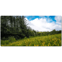 Desk Mat - Field of Buttercups in Spring, County Clare - James A. Truett - Moods of Ireland - Irish Art