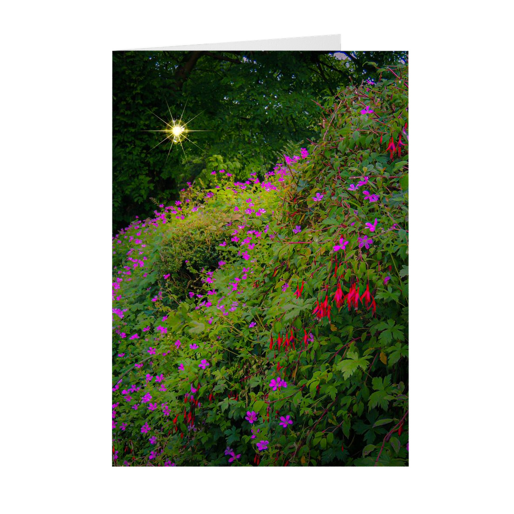 Folded Note Cards - Roadside Cascade of Irish Wildflowers in Afternoon Sun - James A. Truett - Moods of Ireland - Irish Art