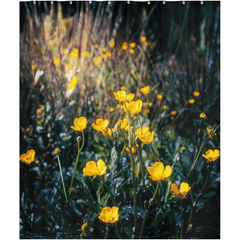 Shower Curtain - Buttercups in the Irish Countryside - James A. Truett - Moods of Ireland - Irish Art