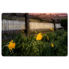 Desk Mat - Daffodils and Spring Sunrise, County Clare, Ireland - James A. Truett - Moods of Ireland - Irish Art