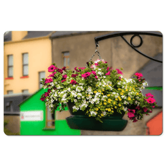 Desk Mat - Hanging Basket in Ennistymon, County Clare - James A. Truett - Moods of Ireland - Irish Art