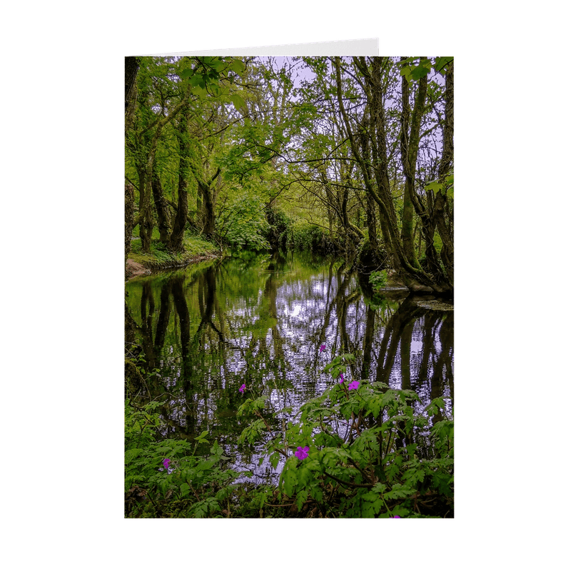 Folded Note Cards - Streamstown River Reflections, County Galway - James A. Truett - Moods of Ireland - Irish Art