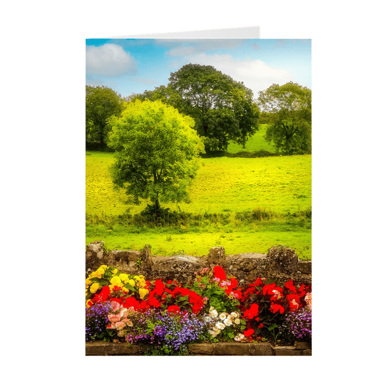 Folded Note Cards - Green Meadows of Kildysart, County Clare - James A. Truett - Moods of Ireland - Irish Art