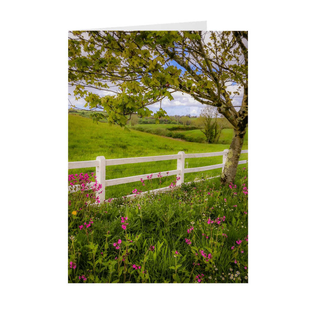 Folded Note Cards - Ballynacally Wildflower Vista - James A. Truett - Moods of Ireland - Irish Art